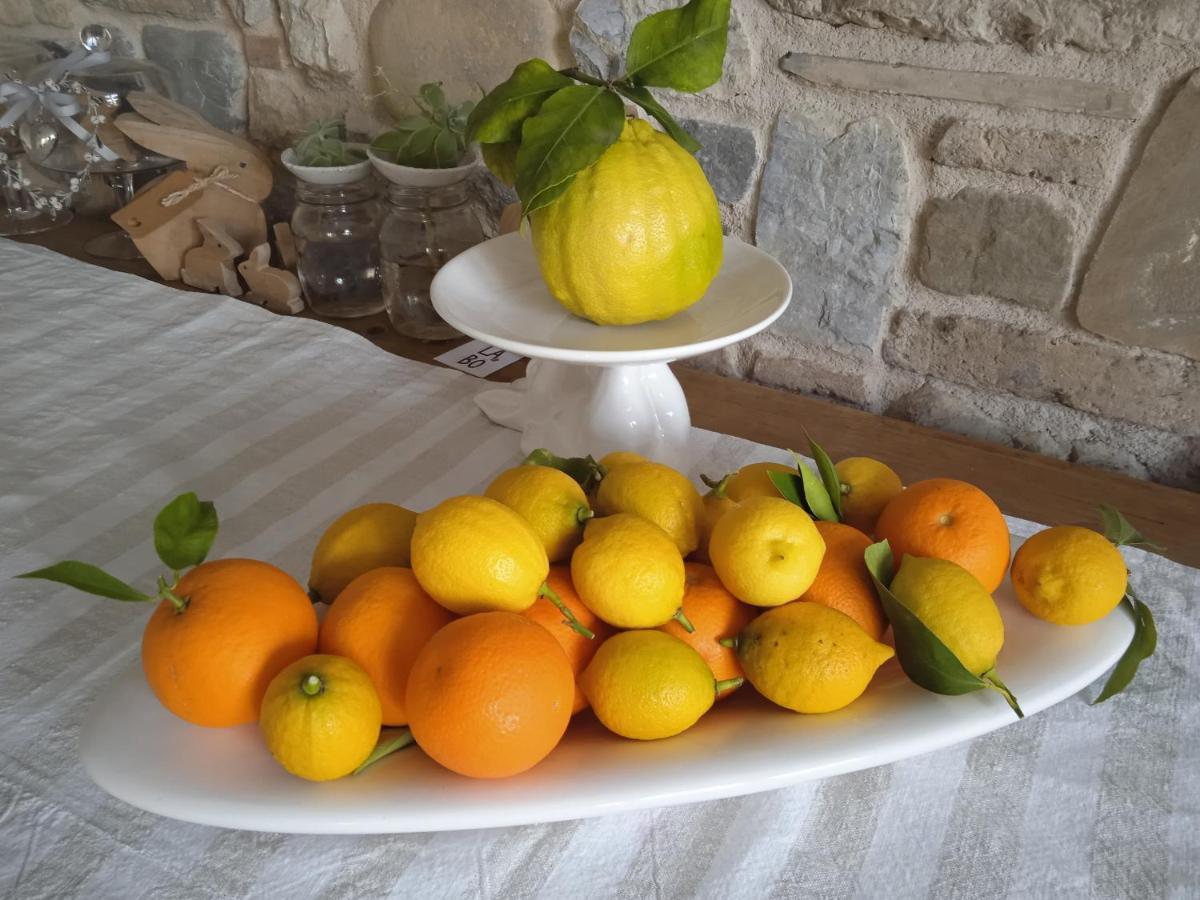 Il Fienile Bed and Breakfast Fagagna Εξωτερικό φωτογραφία